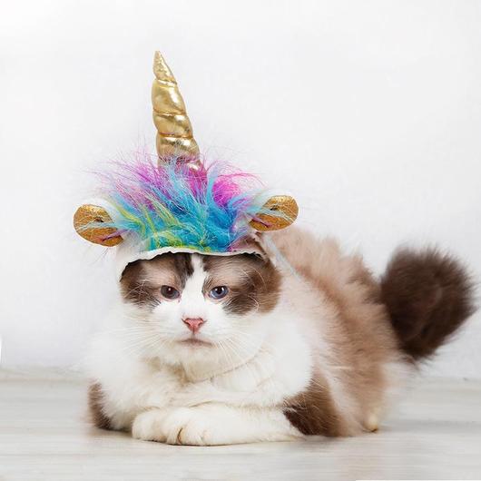 "Unicorn VS Devil" Pets Halloween Costume Hats-2