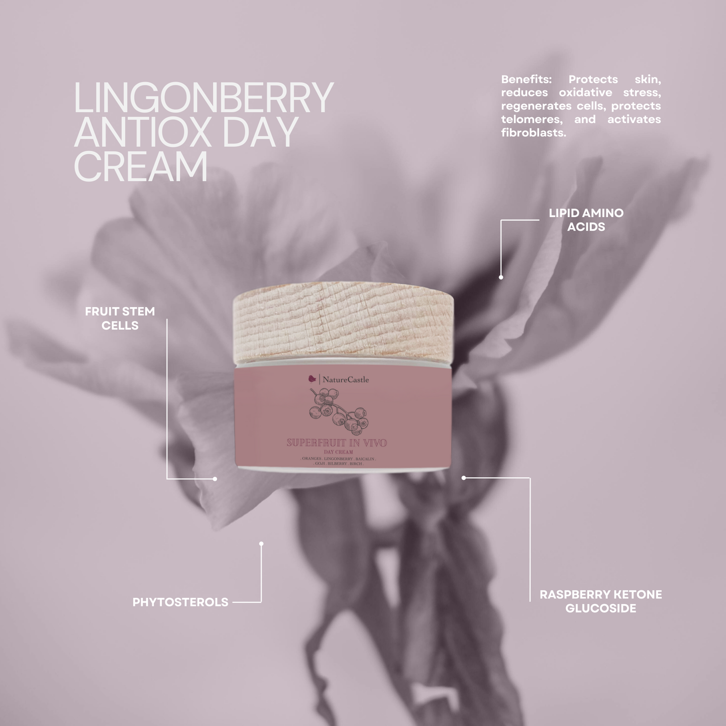 Lingonberry Antiox Cream-2