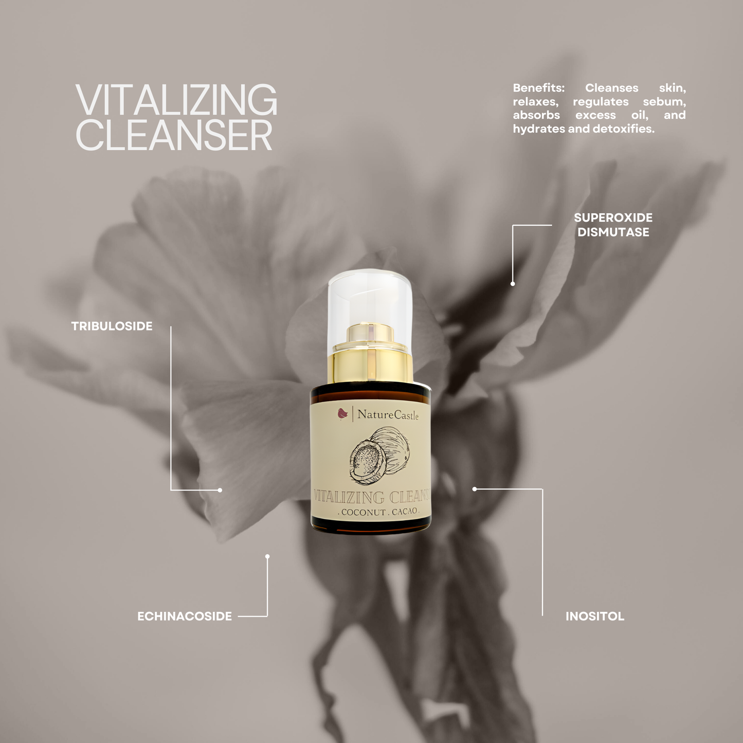 Vitalizing Cleanser Key Ingredients