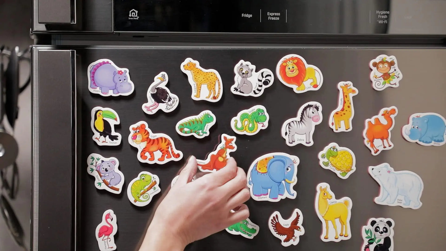 27 Fridge Magnets for Toddlers 13 years  Zoo Animals Foam Magnets for Kids