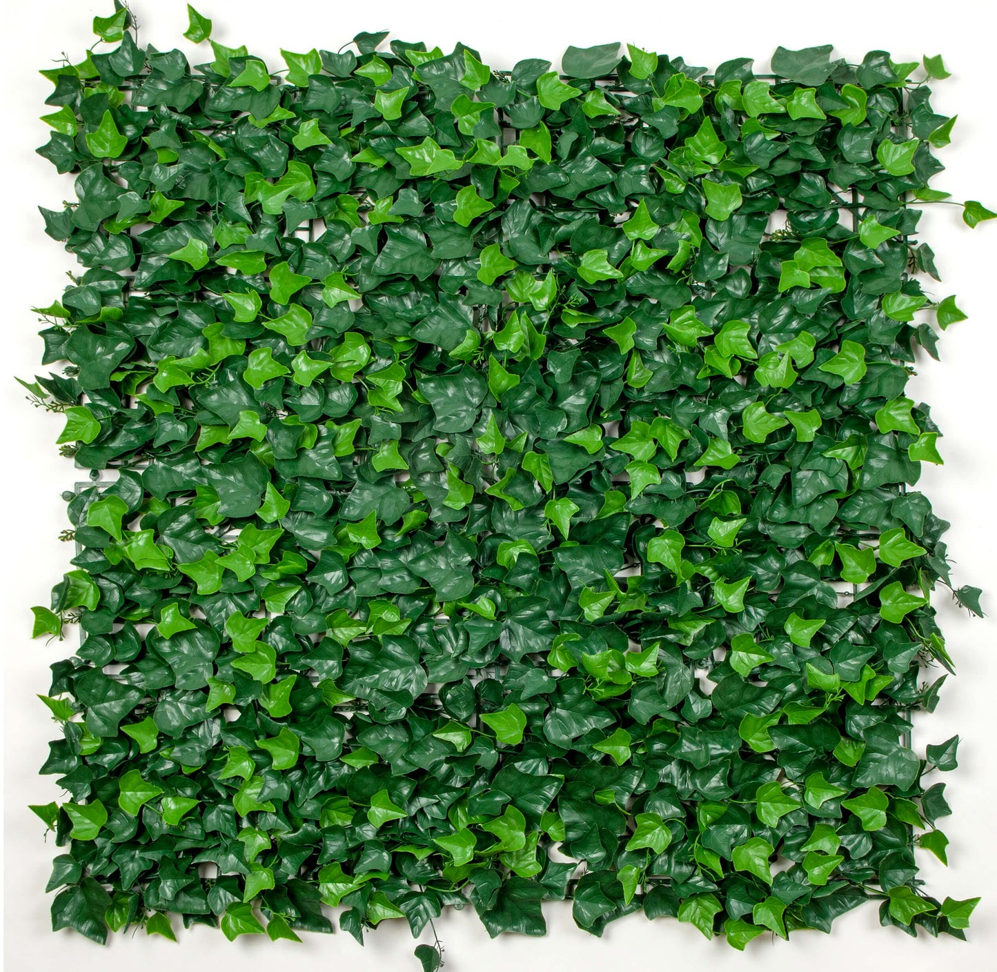 Artificial Boston Ivy Green Wall 33SQ FT UV Resistant - American Smart