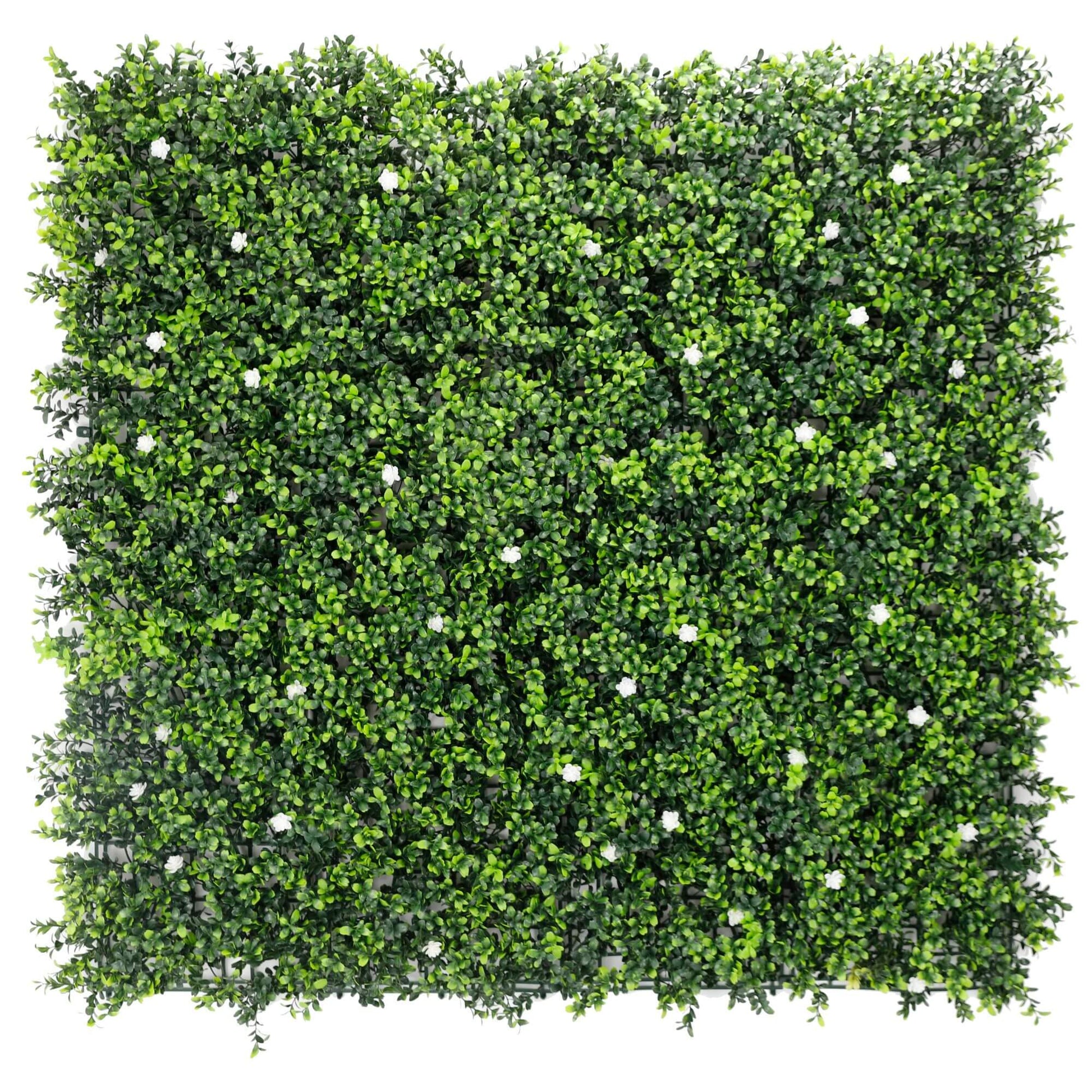 White Flowering Artificial Boxwood Wall 40" x 40" 11SQ FT - American Smart